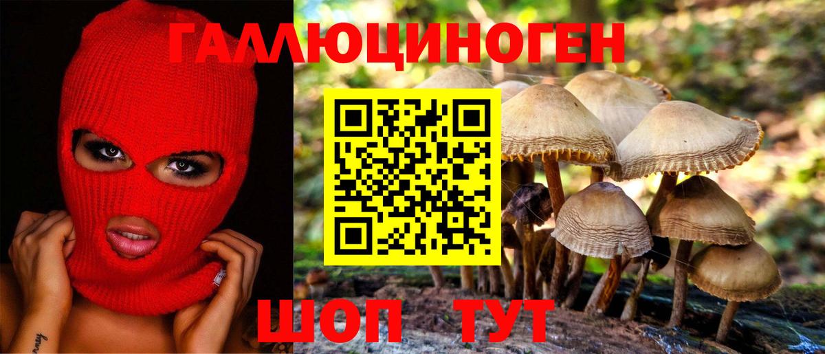 Псилоцибиновые грибы Cubensis Донской